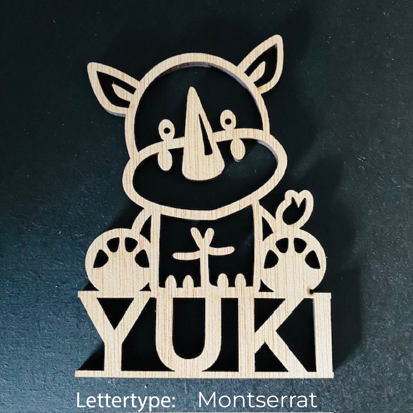 Decoratie met naam - Neushoorn